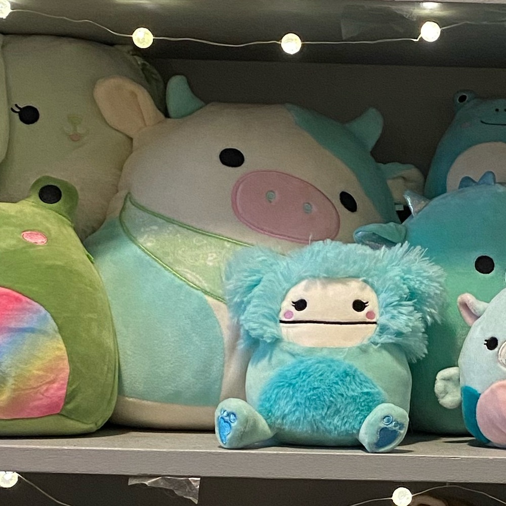 Offers welcome on all orders